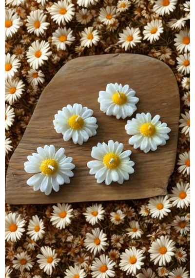 Bernami Vazo Pinterest Suda Yüzen Hediyelik Kokulu Papatya Mum - 1 Adet Diğer