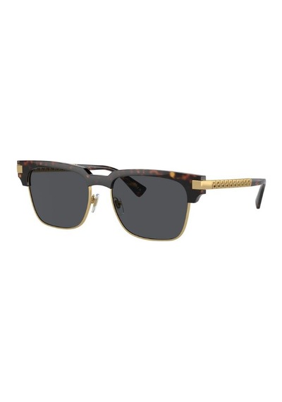 Versace 0ve4447 108/8755 Enjeksiyon Erkek Güneş Gözlüğü Kahverengi