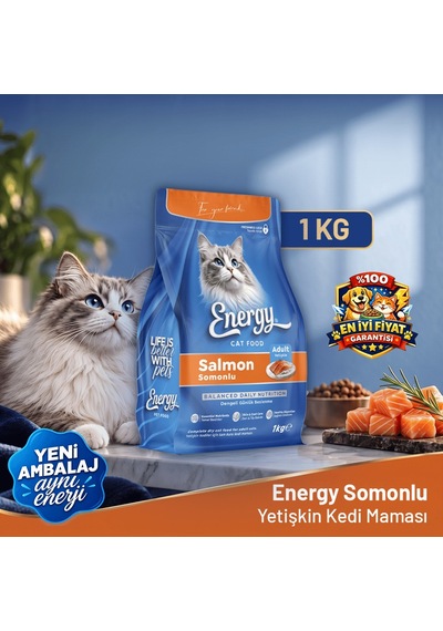 Energy Somonlu Kedi Maması - 1 Kg 8'li Paket
