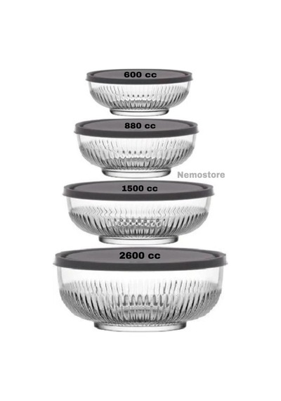 Nemostore Tokyo Saklama Kabı Seti 2600-1500-880-600 Gri Kapaklı 8 Parça Karışık
