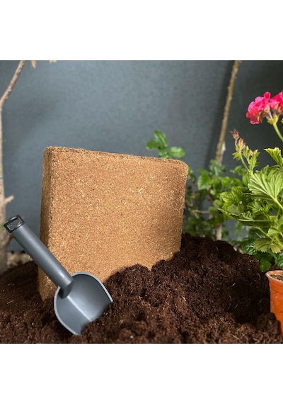 Biorfe Premium Cocopeat 5 Kg Sıkıştırılmış Hindistan Cevizi Torfu