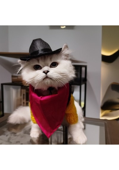 Kedi Ve Köpek İçin Redkit Kostümü Şapka, Bandana, Kazak, Yelek Takım