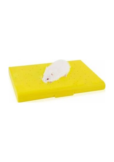 Carno Soğutucu Buz Torbalı Hamster Yatağı 14x10x1 Cm