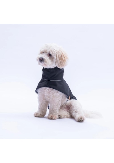 Pawstar Polarlı Siyah Colombia Prime Su Geçirmez Orta-büyük Irk Köpek Pratik Yağmurluk