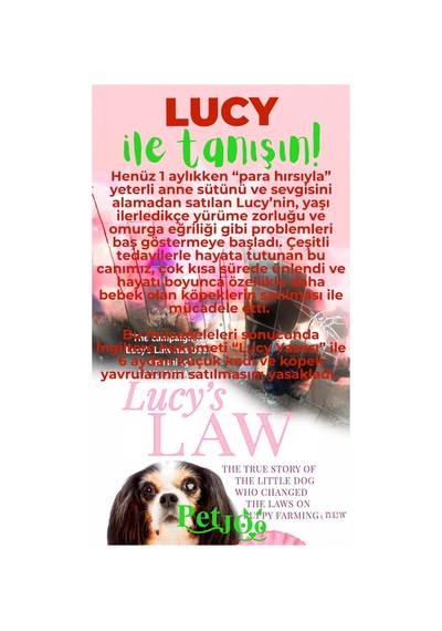 Petjoo 11.Lucy Yeşil-Kırmızı Qr'lı Köpek Künyesi