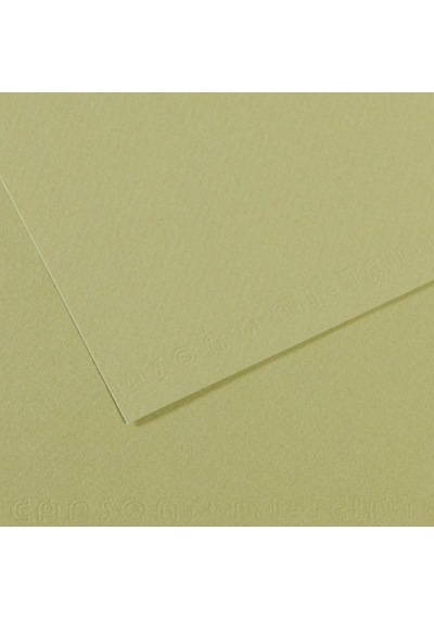 Canson Fon Kartonu Dokulu Mı-teıntes Sh Canmt 50x65 160 Gr Grn 480