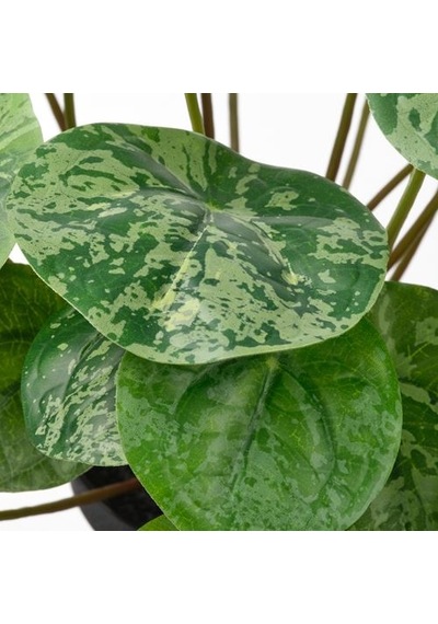 Ikea Fejka Yapay Bitki, Yeşil, 9 Cm, İç/dış Mekan Pilea