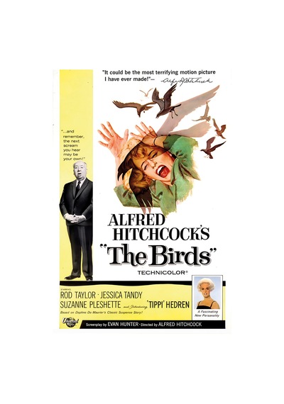 Birds 1963 Poster