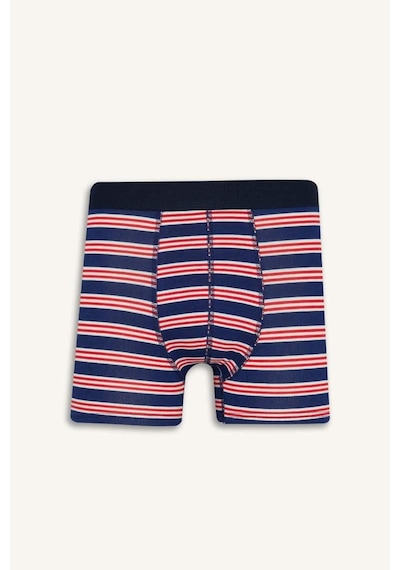 Defacto Regular Fit Çizgili 3lü Boxer E0123ax25aunv135 Lacivert