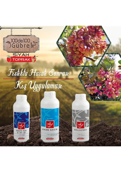 Fıstık Ağaçlarında Hasat Sonrası Kış Uygulaması Seti