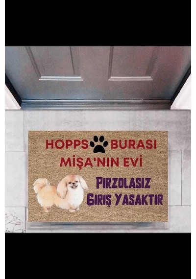 Kapı Önü Paspası Dekoratif Dijital Baskı Hopps P-2474 Renkli