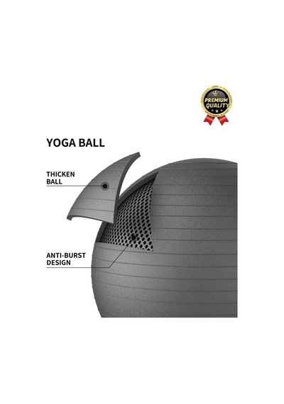 Premium Mini Gymball 20cm Jimnastik Denge Fitness Spor Şişirme Pompası Mavi Pilates Topu