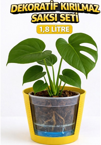 2 Li Saksı Seti 15 Pot Üretim Saksısı + 1,8 Litre Sarı Dekoratif Kırılmaz Saksı Tabaksız Uyumlu
