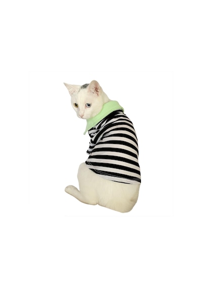 Kemique Grass Hopper Stripe Polo Yaka Kedi Tişört