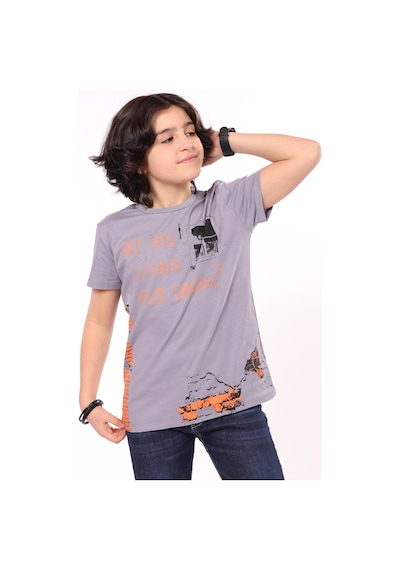Toontoy Kids Toontoy Erkek Çocuk Baskılı Tişört Gri