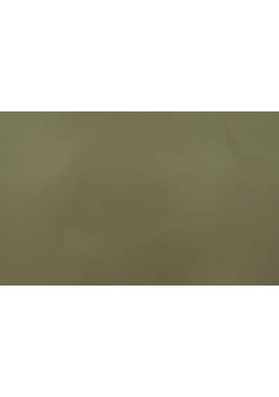 Jotun Green Leaf 8469 Fenomastic Güzel Evim Mineral