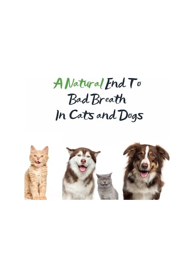 %100 Doğal Aktif Bileşenli Kedi Ve Köpek Diş Macunu + Kapaklı Silikon Parmak Fırça Şeffaf