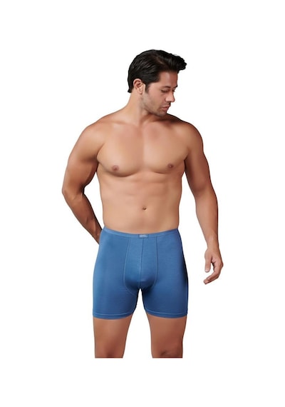 6 Adet Gümüş Erkek Bambu İnce Bel Elastan Boxer 8007 Mavi