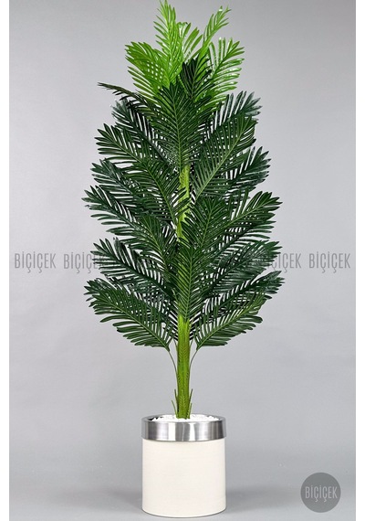Yapay Areka Ağacı 160-180 Cm Kl