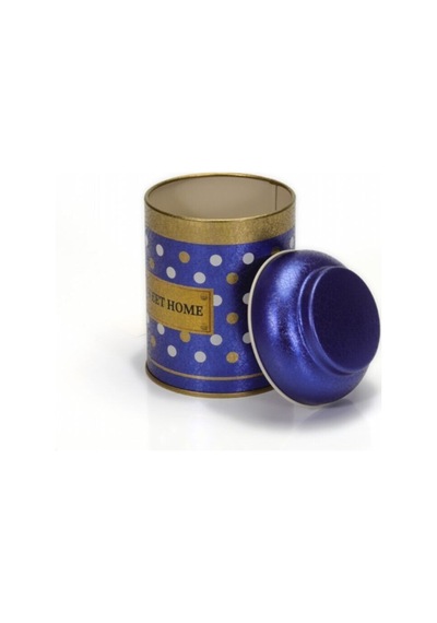 Ef080-69 Point Blue Desenli Baharatlık 0,6 Lt Çok Renkli