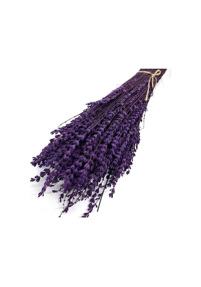 Yapay Çiçek Deposu Şoklanmış Lavanta Demeti Natural Lavender Bundle Mor 40-50 Cm