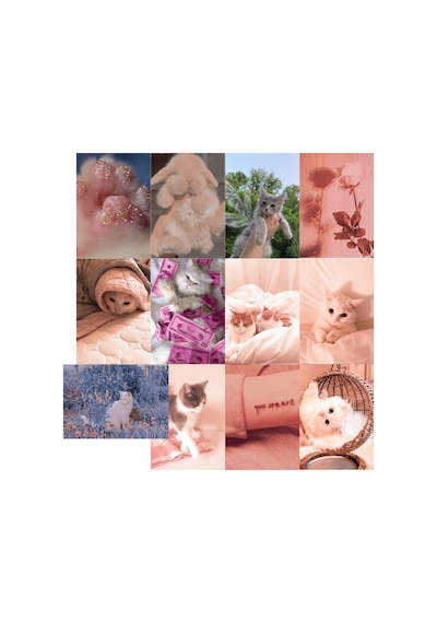 Kedi Cute Cats Soft Poster Duvar Kağıdı Seti