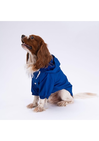 Pettrend Mavi Mont Köpek Mont Köpek Kıyafeti Köpek Yağmurluğu