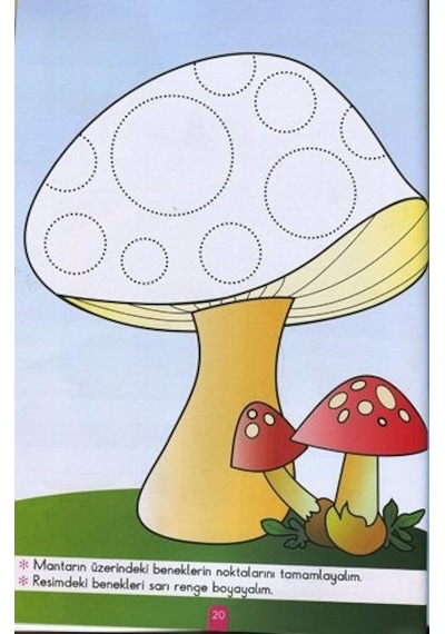Beyaz Pusula - Çizgiler 4+