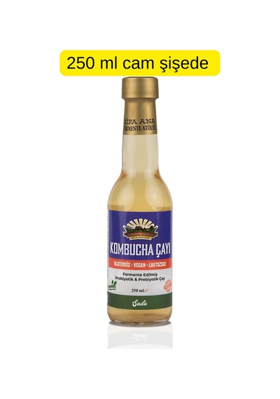 6 Adet Sade Kombucha 250ml. Cam Şişede