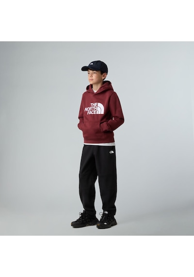 The North Face Teen Drew Peak Pullover Hoodıe Genç Çocuk Sweatshirt Nf0a8ehh0vo1 Çok Renkli