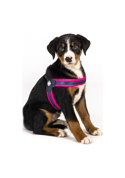Max & Molly Q-Fit Matrix Pink Göğüs Tasması Pembe XL Pembe