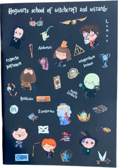 Harry Potter Hogwarts Temalı Çizgisiz Defter Çok Renkli