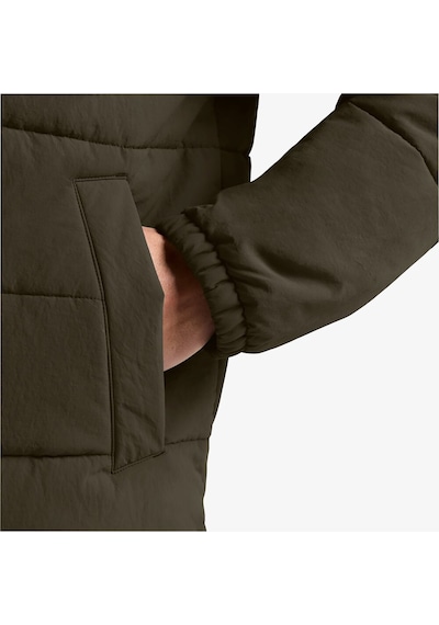Jack Wolfskin Northern Lite Erkek Kahverengi Ceket A65024