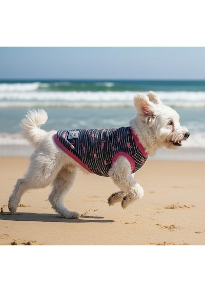 Miniş Flamingo Küçük Irk Köpek Ultra Esnek Penye T-shirt-21580