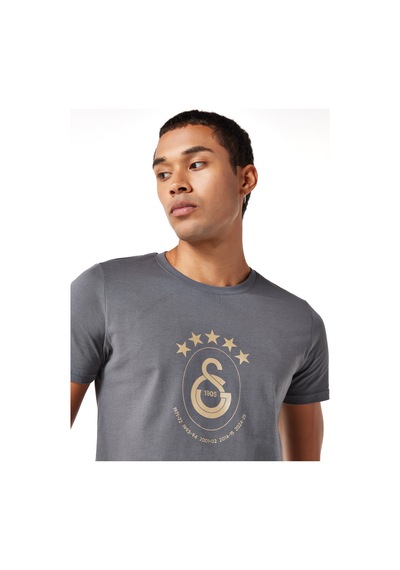 Gsstore Galatasaray 5 Yıldız T-shirt E251352 Antrasit