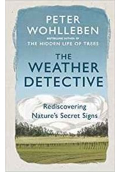 The Weather Detective: Rediscovering Nature's Secret Signs 9781846046025