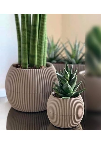 Mercan Yuvarlak Saksı Seti 0,35 Litre + 1,2 Litre, İç Mekan - Dış Mekan 2li Ekonomik Tabaklı Plastik Saksı Set Kahve Renk