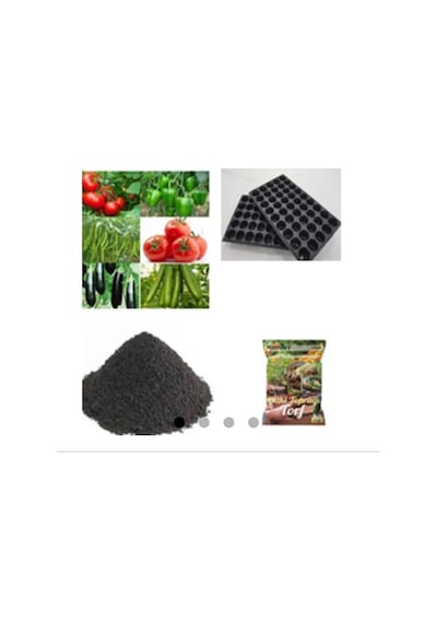 Domates + Salata + Biber + Patlıcan + 60 Adet Tohum Toprak + G