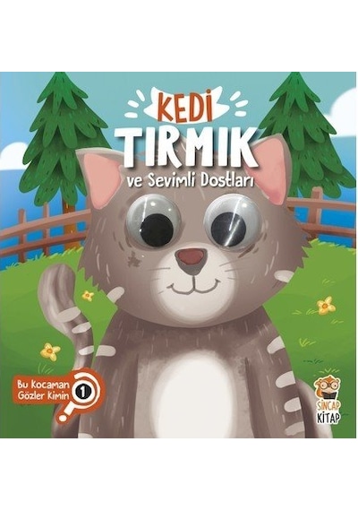 Bu Kocaman Gözler Kimin Kedi Tırmık ve Sevimli Dostları