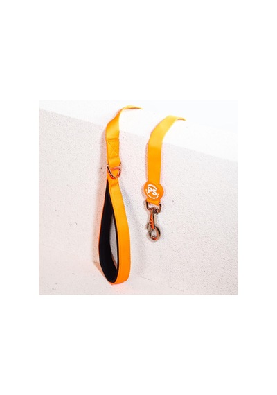 Pawstar Neon Turuncu Leash Kedi Köpek Sevk & Gezdirme Kayışı Köpek Uzatma Tasması Turuncu