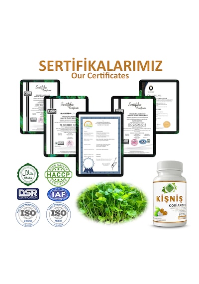 Gökçek Şifa Kişniş 60 Kapsül