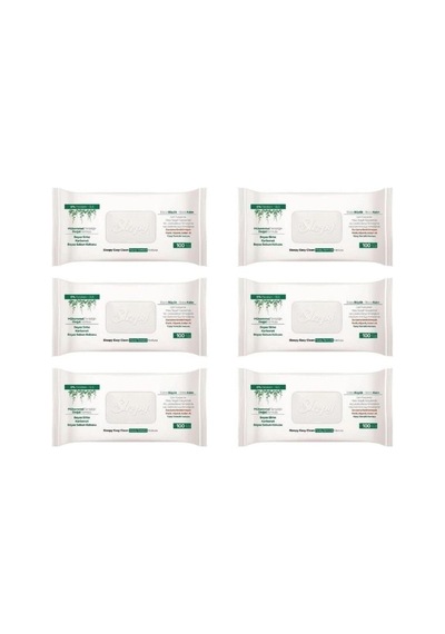 Easy Clean Yüzey Temizlik Havlusu 100 Yaprak 6 Paket 600 Yaprak Diğer