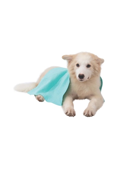 M-pets Bathtıme Kedi Ve Köpekler İçin Hızlı Kuruyan Havlu Green