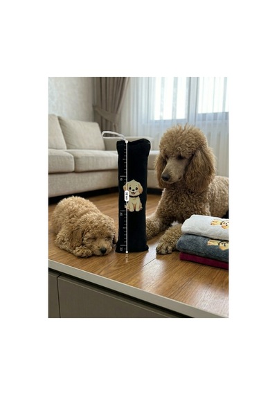 Kedi Köpek Oyuncağı Peluş Baskılı, Yumuşak Kumaşlı Hışırtılı Oyuncak Siyah - 937493409