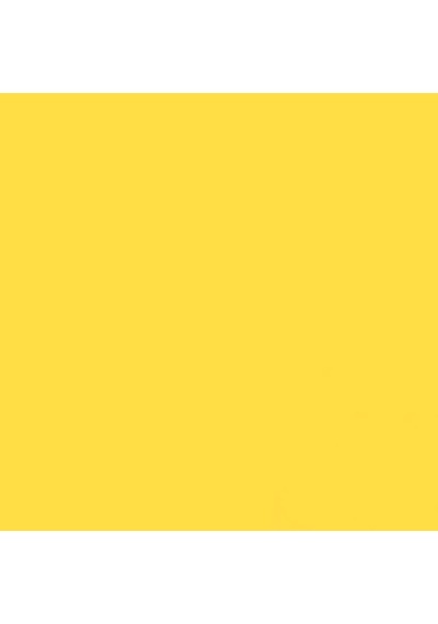 Gdx Kağıt Sonsuz Stüdyo Fon Perde Canary 2.70x11 Metre