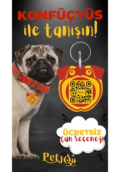 Petjoo 9.Konfüçyüs Sarı-Kırmızı Qr'lı Köpek Künyesi