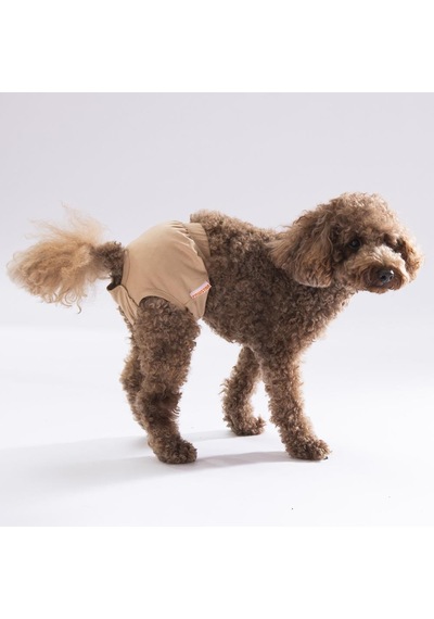 Krem Kedi-köpek Çamaşırı Regl Kilodu