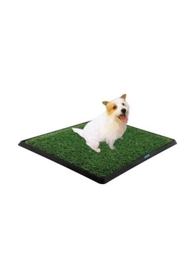 Köpek Tuvalet Eğitim Seti - Pratik Kullanım