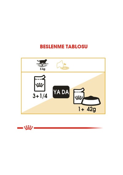 Royal Canin British Shorthair Yaş Kedi Maması 12 Adet X 85 Gr