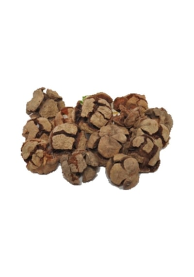 Selvi Kozalağı 60 G